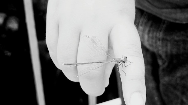 Kroki procesu tworzenia haftu